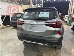 کیا سێلتۆس
